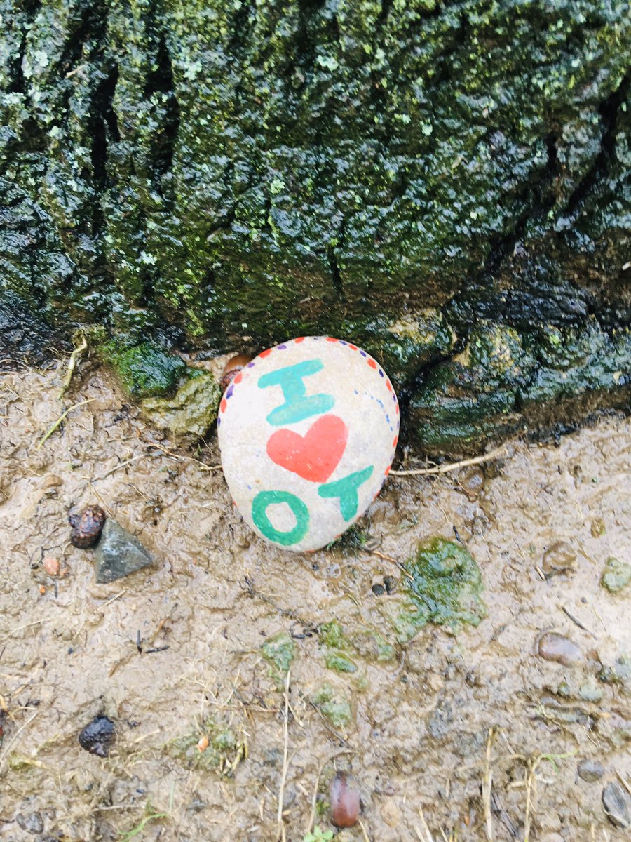 As part of the #OccupationalTherapyWeek and #OTRocks, patients here at Stewart House decorated there own rocks with positive messages on them. These are scattered on and around the grounds, see if you can spot them 🤔 😊