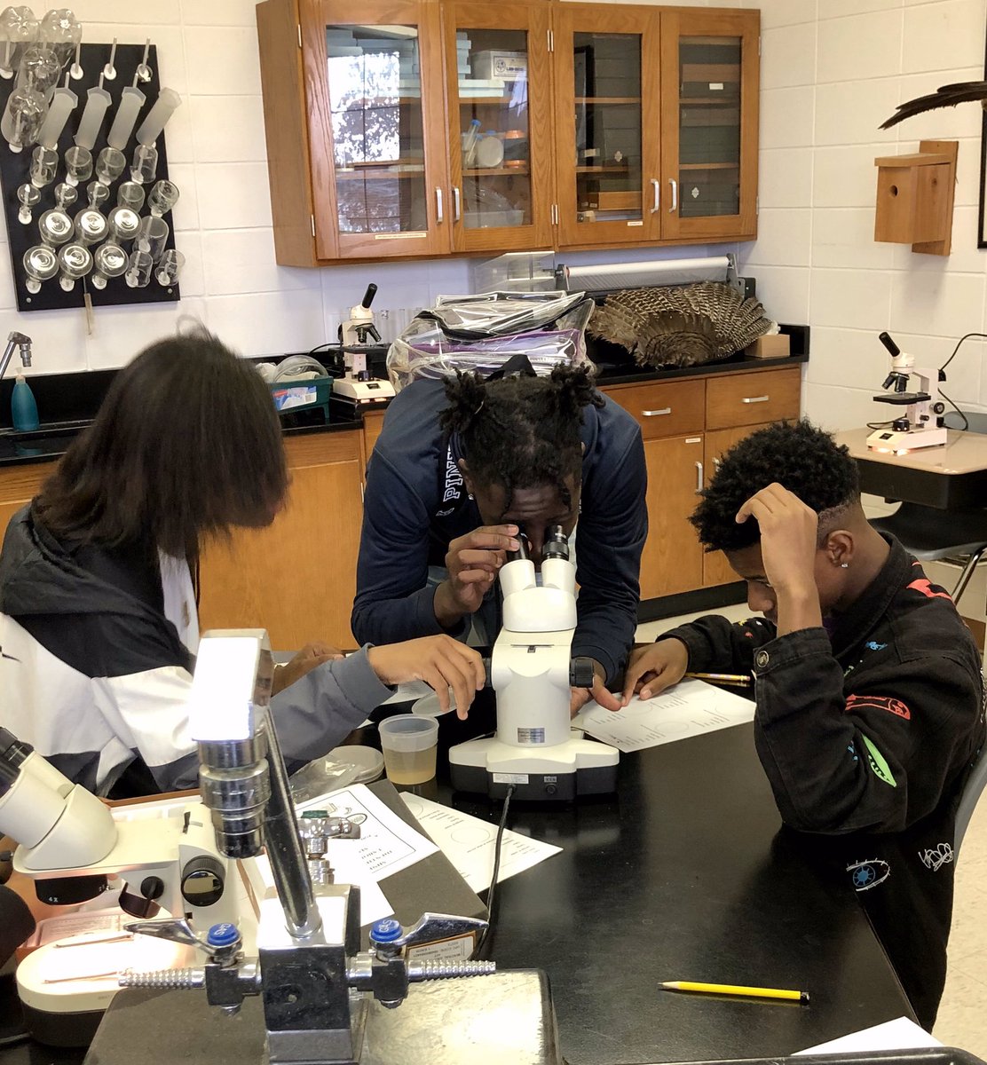 Christy Maulding tweet media