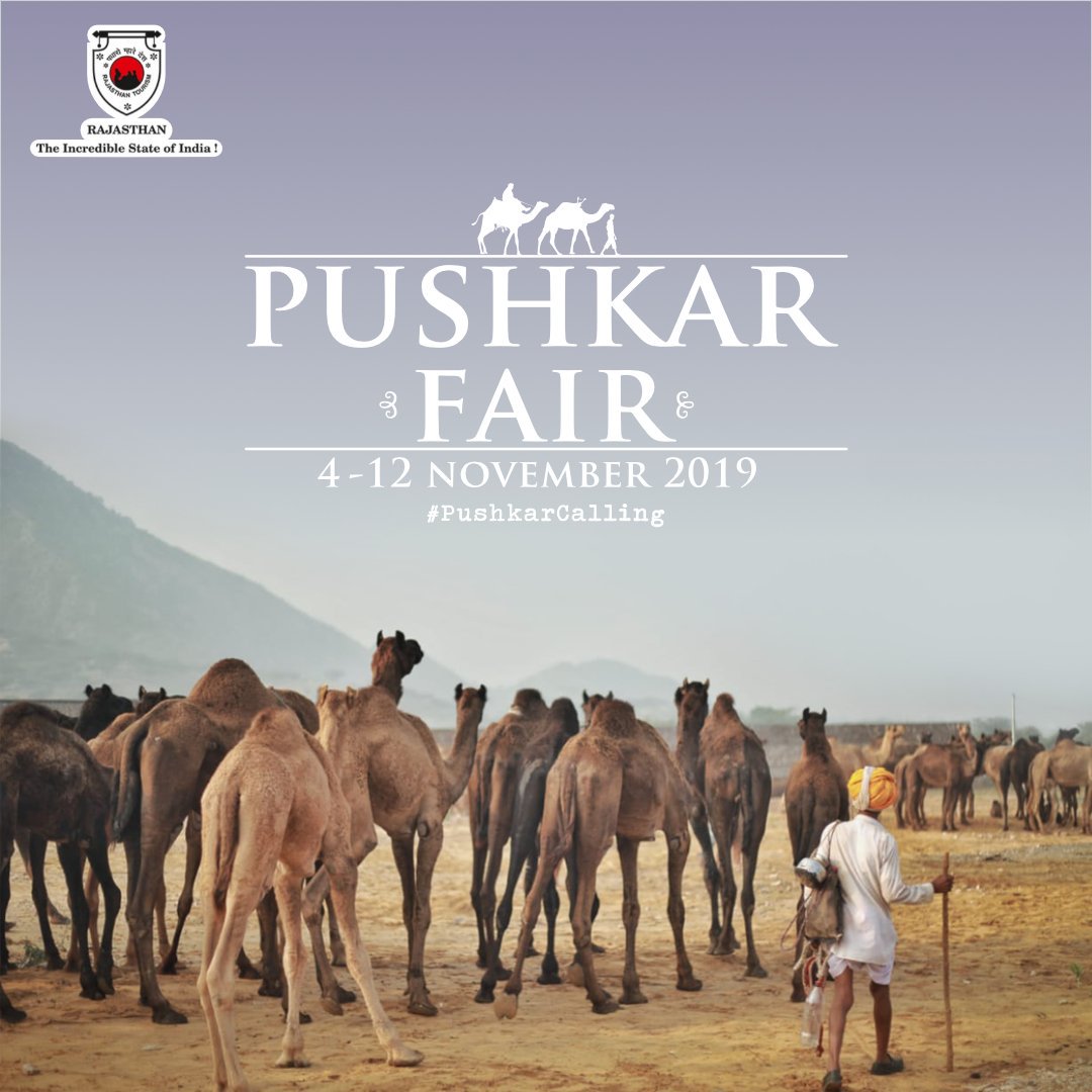 my_rajasthan's tweet photo. Camels, rural sports, performances and what have you?
Have you reached the #PushkarFair yet?
.
.
Image Courtesy - @lensw0rk
.
.
#WhenRajasthanCelebrates
#PushkarCalling #Pushkar
#FairsandFestivals #MyRajasthan https://t.co/kIZnT2Hv7b