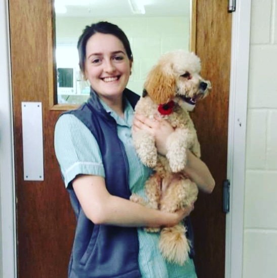 avonvalevets's tweet photo. Rupert had 'the op' at our Wellesbourne surgery recently. Here  he is being comforted by Amber and showing off his remembrance poppy! #avonvalevets #avonvale #poppy #remembrance #wellesboure https://t.co/DmlZAcrwfv