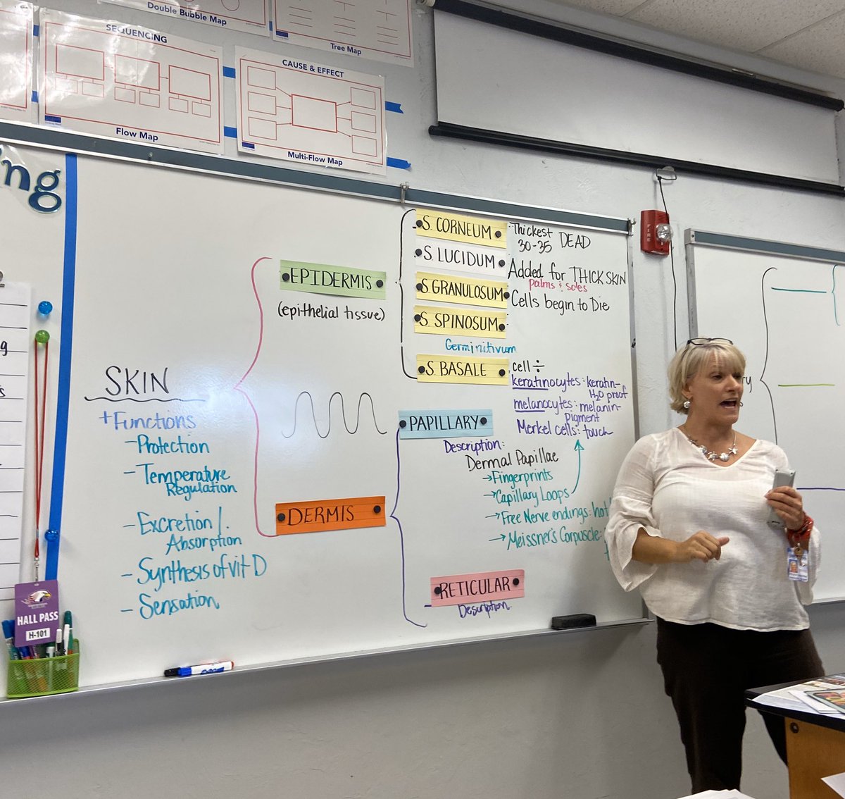 TalentSlps's tweet photo. Thinking Maps are a valuable tool for HS Anatomy class! Check out Ms. Radtkeโs stunning Brace Map. @ThinkingMaps #bracemap #thinkingmaps https://t.co/TOSRAKppoo