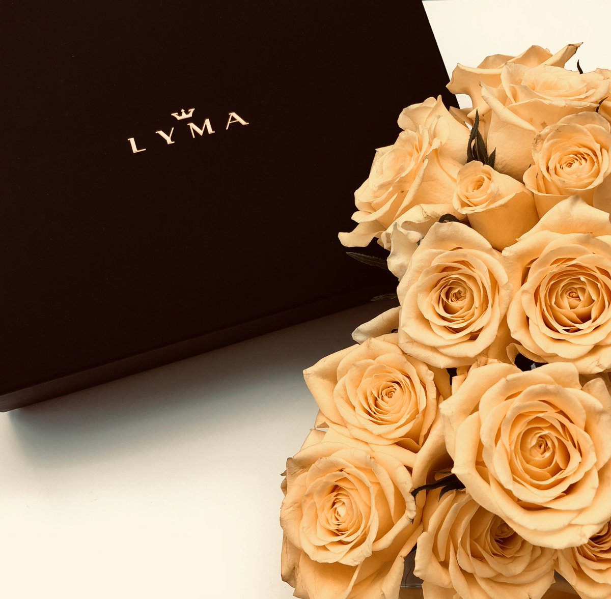 linacameron's tweet photo. Lyma is the world’s most advanced bioavailable super supplement. 💫#supplements #MelbourneCup https://t.co/EX81p8RuQ8