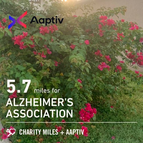 DizRuns's tweet photo. #seenonmyrun
This bougainvillea is ridiculous! Always in bloom and grows like a damn weed!
Believe me, you don’t need much of a green thumb to grow one of these things! 💯
-
-
-
#worlderunnerss #runplanet #runner #worlderunners #runnersphere #womenrun… https://t.co/kTllYcIrO2 https://t.co/ivysB8XplG