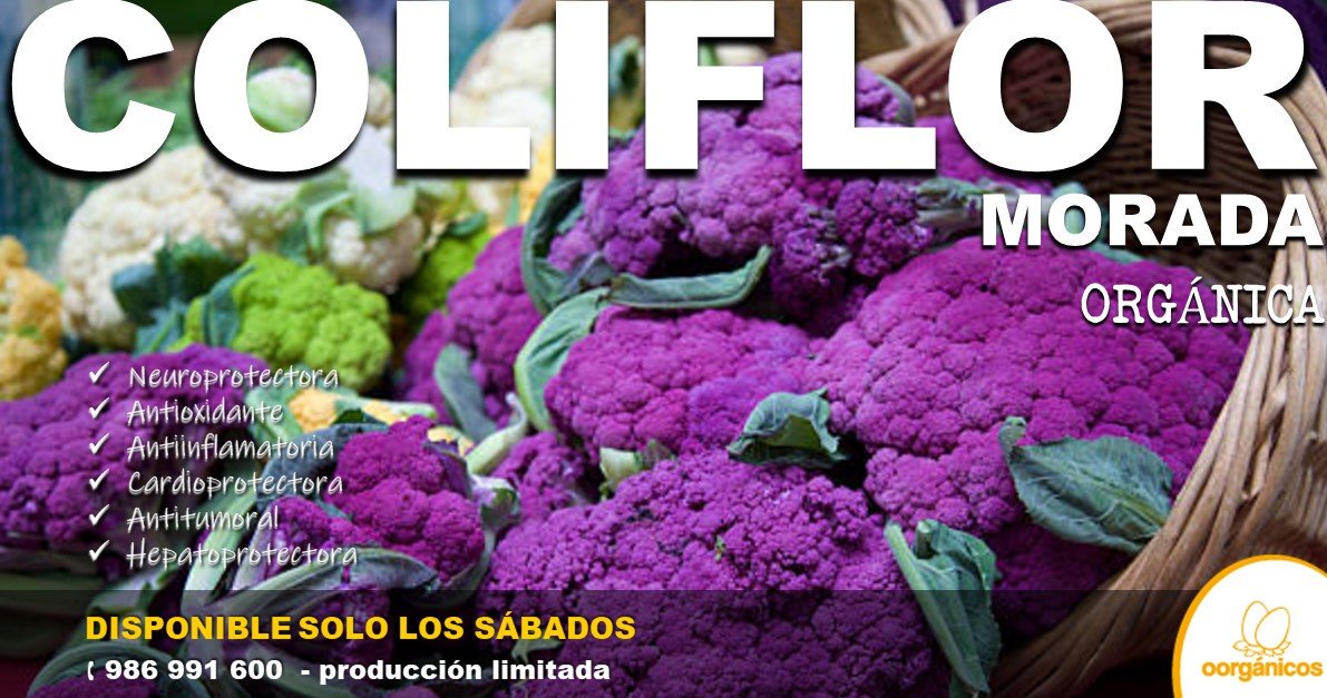 OOrganicos's tweet photo. 🌱 La coliflor morada, de sabor y olor similar a la blanca, pero con más antioxidantes que ésta
#Colifor #ColiflorMorada #ColiflorOrganica #Envejecimiento #Dietética #Hidratante #Diurética #antioxidante #Pielhidratada #Yanahuara #cayma #AQP
Pídela aqui 👉🏻 https://t.co/0GkGIFjKPO https://t.co/lXziD5FYi2