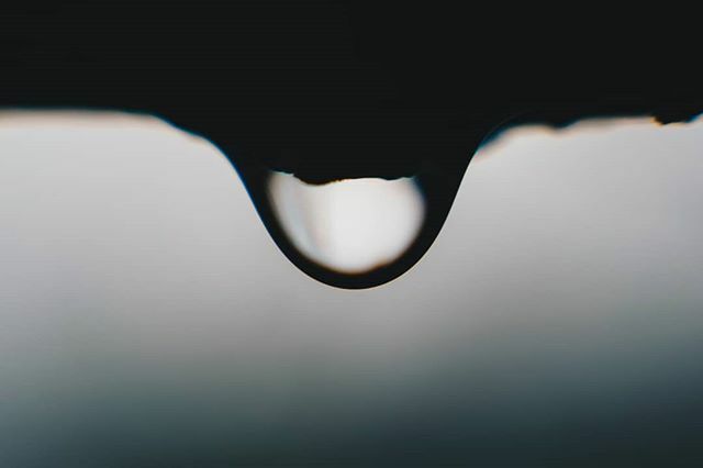 sszemtelen's tweet photo. 💧
#mik #ikozosseg #hungary #instacool #instagood #instanature #instaminimal #nature #naturephotography #natureporn #macro #macroporn #nature_perfection #nationalgeographic #naturelovers #macroworld_tr #picoftheday #f4f #sonycollective #sonyimages #dr… https://t.co/Zaucl9TbzT https://t.co/Uamo6aPh9j