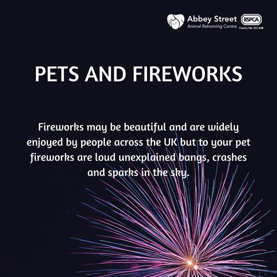 RSPCADerby's tweet photo. Please read our handy information guide on how we can ensure firerwork season is as stress free as possible for our furry companions.
Click the link here https://t.co/tdax4YdR9G

#RSPCADerby #FireworkSeason https://t.co/2dbkWQ8Dsa