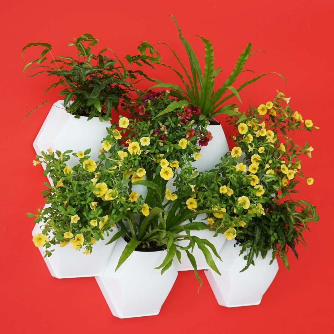 thebewisedotcom's tweet photo. Ozense Hive Garden - Bring Nature Home 👩‍🌾
Visit 👉 https://t.co/tklss7YOJX
.
.
#homedecor #decor #interior #garden #homedesign #decoration #homesweethome #gardening #interiors #house #instahome #furniture #flower #instadecor #homestyle #interiordecor #interiorstyling #kitchen https://t.co/jbK9uS2h9E