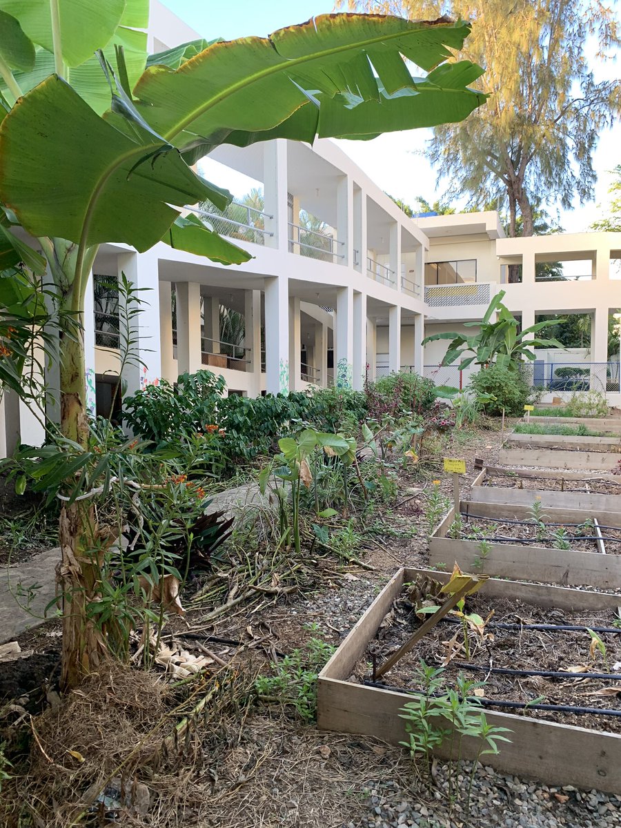shegrows2's tweet image. Preparing the garden for annual food plants and welcoming new visitors like this butterfly! @CMSSharks