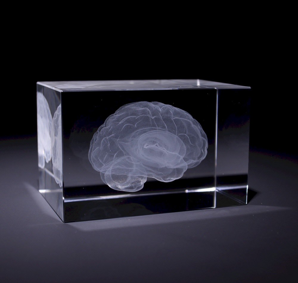 Hoe gaaf is dit!? Een 3D glasblok van het hart, skelet of hersenen! Op zoek naar een relatiegeschenk, check dan alle opties op anatomieshop.nl/anatomie-cadea…
#anatomy #giftideas #hospitals #DokterSpesialis