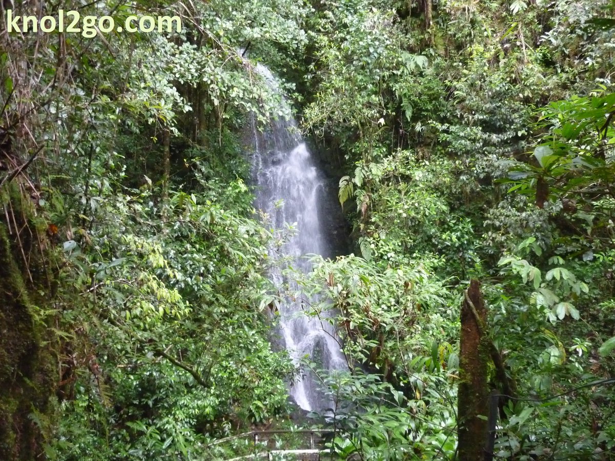 MySabah's tweet photo. Kinabalu Park is a UNESCO World Heritage Site
For more photos https://t.co/ZKz7K1lood https://t.co/XD0ygaYhs0