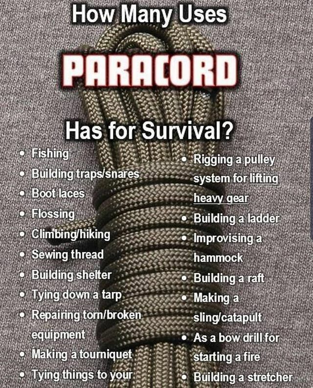HaydenJamesPrep's tweet photo. How many uses does paracord have for survival?

#survival #bushcraft #camping #outdoor #nature #outdoors #hiking #survivalskills #tactical #adventure #edc #survivalist #prepper #knife #survivalgear #primitiveskills #bushcrafting #bushcraftskills #wildern… https://t.co/dDnryHN4xk https://t.co/91jis9WC17