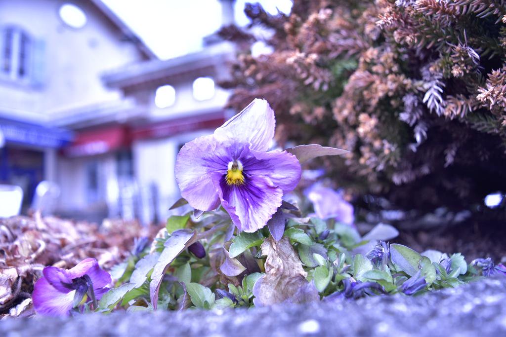 KeyOtokawa's tweet photo. 少しずつ死んでいく日々を
ぼくらは生きている
別れを告げる間もなく
去っていったものも
出会いに気づく間もなく
そばにいるものも
少しずつ壊れていく日々を
灰となって崩れゆく日まで
ぼくらは生きて生きて
#twpoem #創造百科
#詩書きさんと繋がりたい
#Key_p 170413
#coregraphy #photography https://t.co/kHdjKMuakW