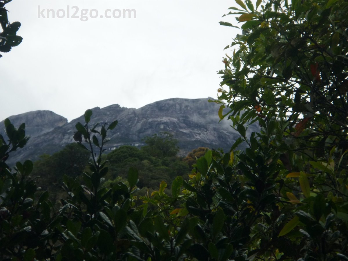 MySabah's tweet photo. Kinabalu Park is in the UNESCO World Heritage List
https://t.co/dZEOQcT5Vx https://t.co/Co0EKDMiK9