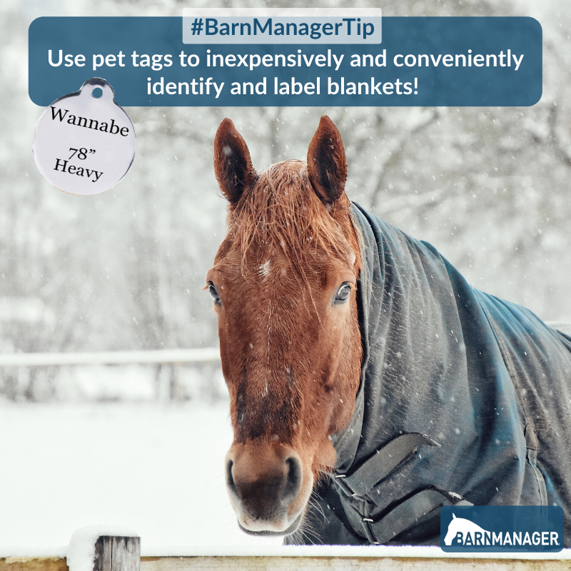 BarnManager1's tweet photo. Pet identification tags can make a great, inexpensive way to label yours horses' blankets! Order them with the the horse's name and the size and weight of the blanket engraved and attached them to the front buckle for easy identification by anyone in your barn! #BarnManagerTip https://t.co/TCszVMB3zj