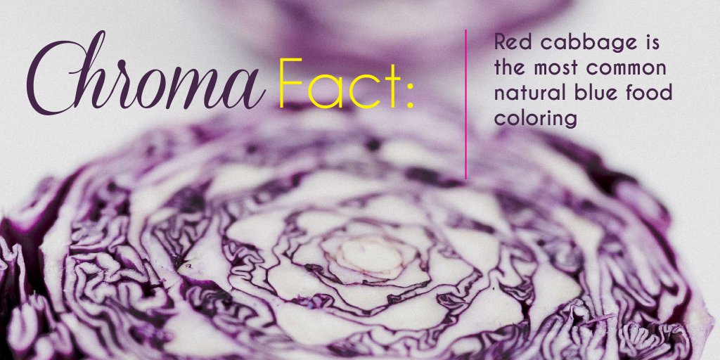 IACMColor's tweet image. #DYK: Red Cabbage is the most common natural blue food coloring? #ColorFact
