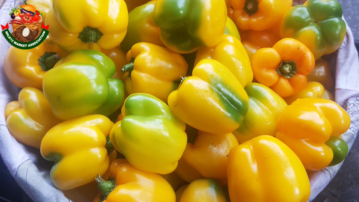 mile12marketngr's tweet photo. Carrot and Vegetables Section, Mile 12 International Market
Bell pepper:
Price: ₦1500/KG
#priceUpdate #bellPapper #marketInformation #priceInformation #mile12 #mile12market https://t.co/AqTcmhGagH