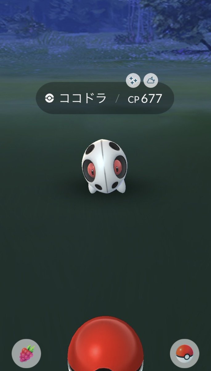 Habcds ポケモン用 ココドラの色違いとナット テッシードに飴使って即進化した 確保 どっちも欲しかったから嬉しい