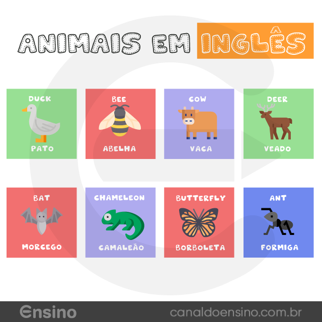 CanaldoEnsino's tweet photo. Conheça alguns animais em inglês.
#CanaldoEnsino #Ensineiro #Ensino #Ingles #DicasIngles https://t.co/DjoHoJfEgn