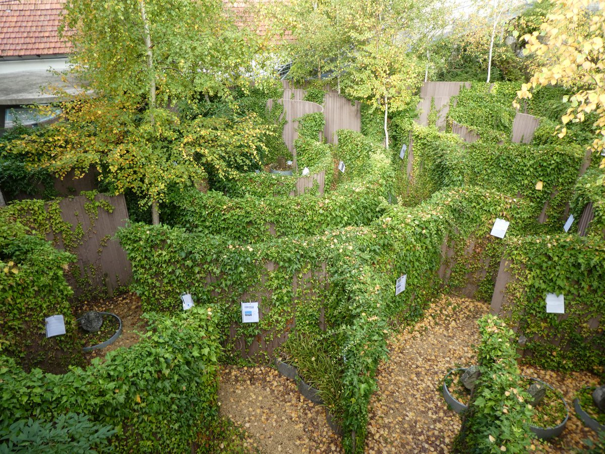 VisitNavarra's tweet photo. ♋En Abaurrea Alta, el antiguo cementerio ahora es un museo donde pueden ser admiradas numerosas estelas medievales recuperadas.
🧐Si te gustan los juegos de escapismo este sábado a las 10:30 puedes participar en "Los 7 misterios del laberinto-cementerio".
https://t.co/P3hW1gNXuP https://t.co/UQ1i0gidM5