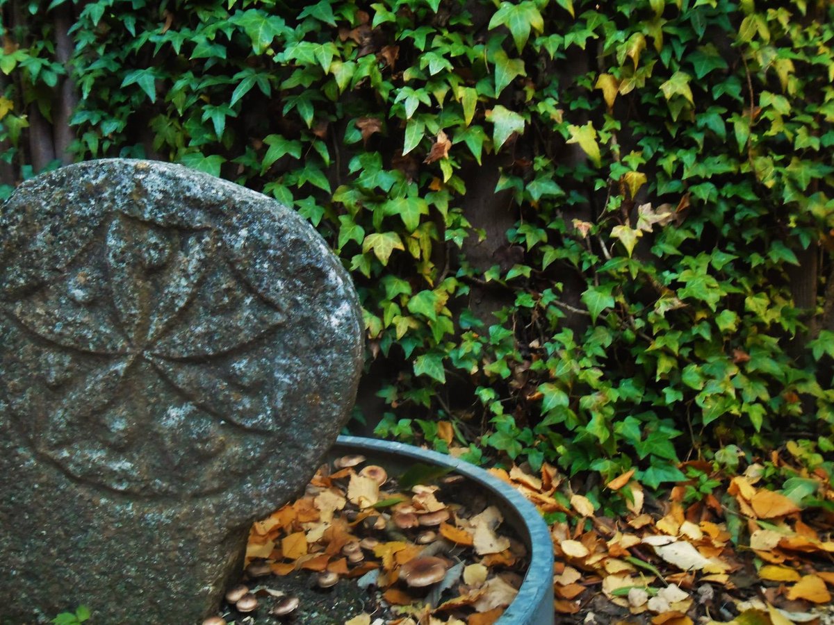 VisitNavarra's tweet photo. ♋En Abaurrea Alta, el antiguo cementerio ahora es un museo donde pueden ser admiradas numerosas estelas medievales recuperadas.
🧐Si te gustan los juegos de escapismo este sábado a las 10:30 puedes participar en "Los 7 misterios del laberinto-cementerio".
https://t.co/P3hW1gNXuP https://t.co/UQ1i0gidM5