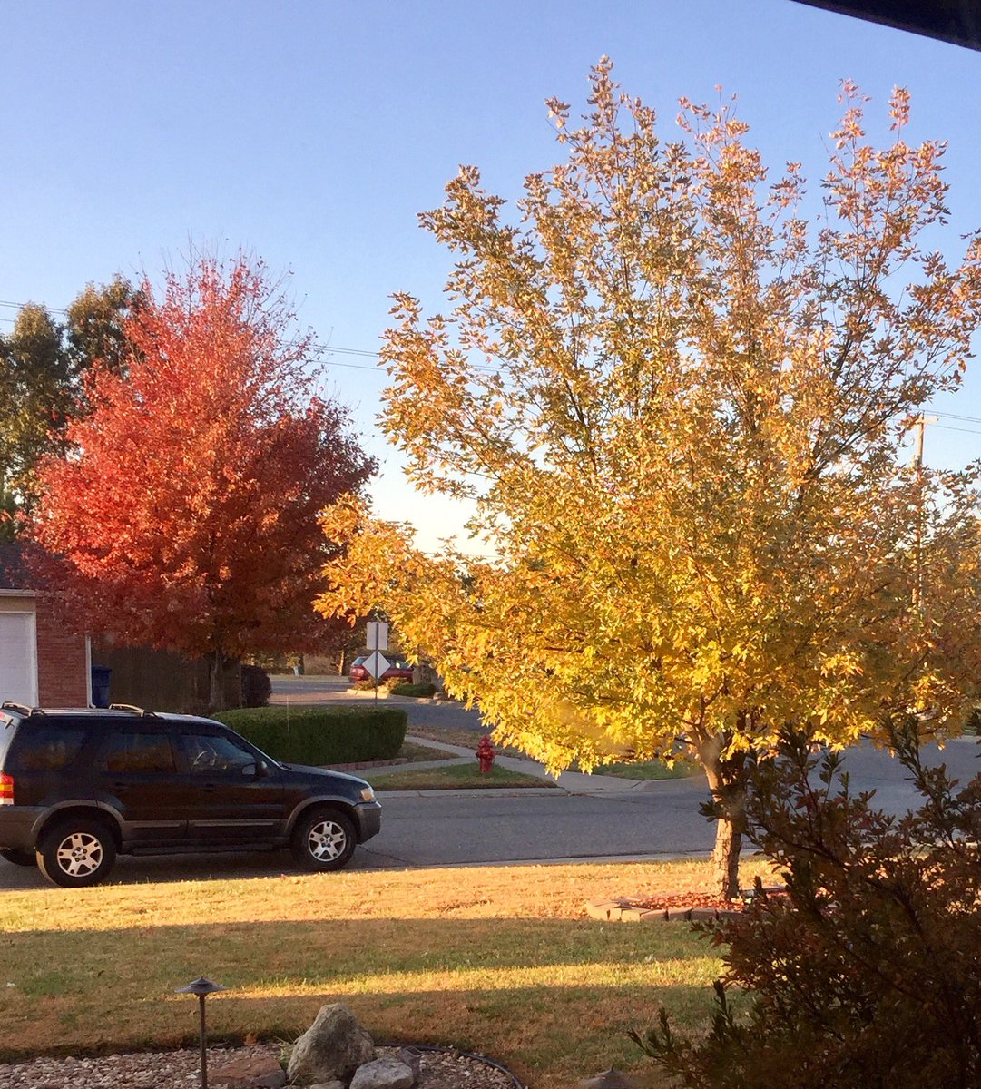 I so love this time of year!!!🍁🍂🍁🍂#prettytrees #beautifulcolors #godsartwork