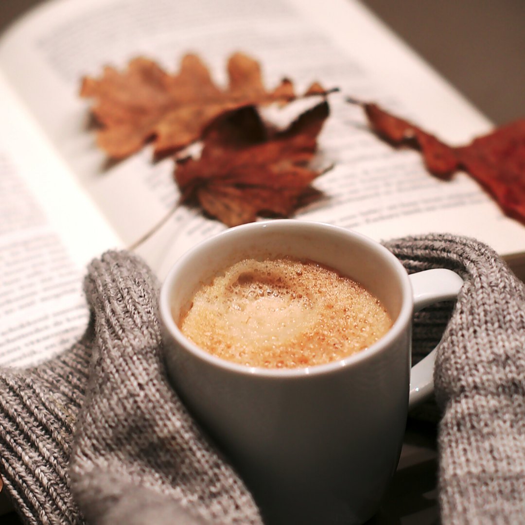 Fall weather = baggy sweaters, amazing coffee and great books.  Thankfully our friends @shelvesbookstore will be with us on Friday from 8:30am to 1pm with some great titles.  Just bring your baggy sweater, we have everything else! 🍁🍂☕📖❤
.
#Indiebookstore #fall #coffeelover
