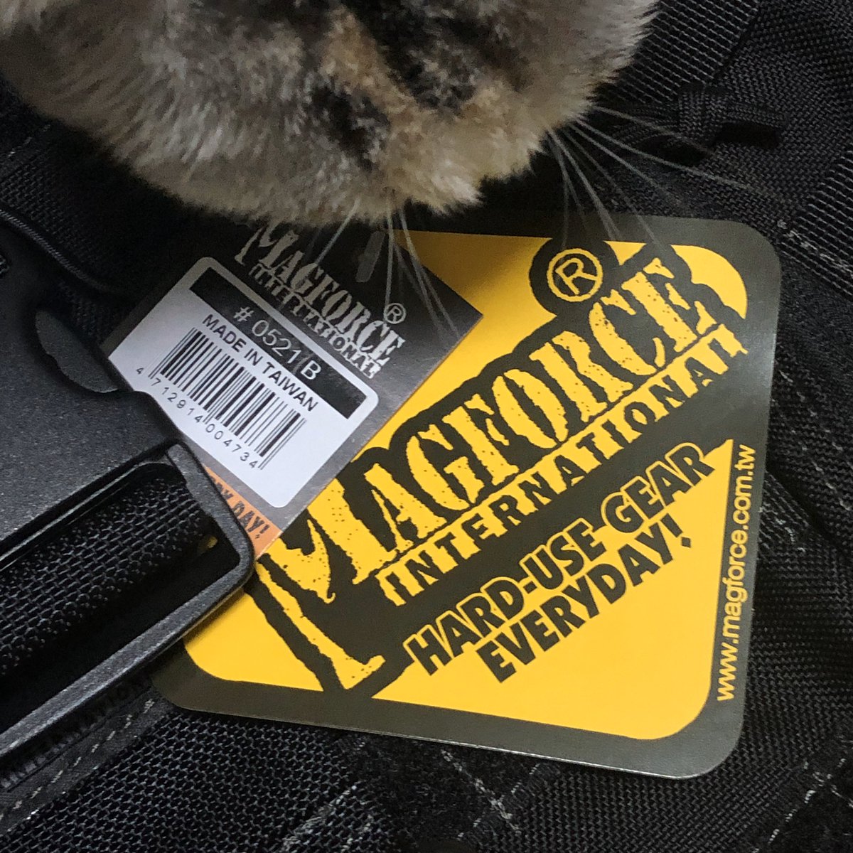 Teisanma's tweet image. 買っちった♪(*&apos;▽&apos;*) 普段使い用。#MacBookPro15 ”もラクラク入る♪ #MAGFORCE