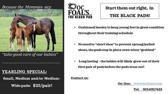 docfoals's tweet photo. It's a great time for a SALE!
Check us out at https://t.co/6zXCcBVbPk !
#equestrians #the blackpads https://t.co/LN8WIQ1Bmz