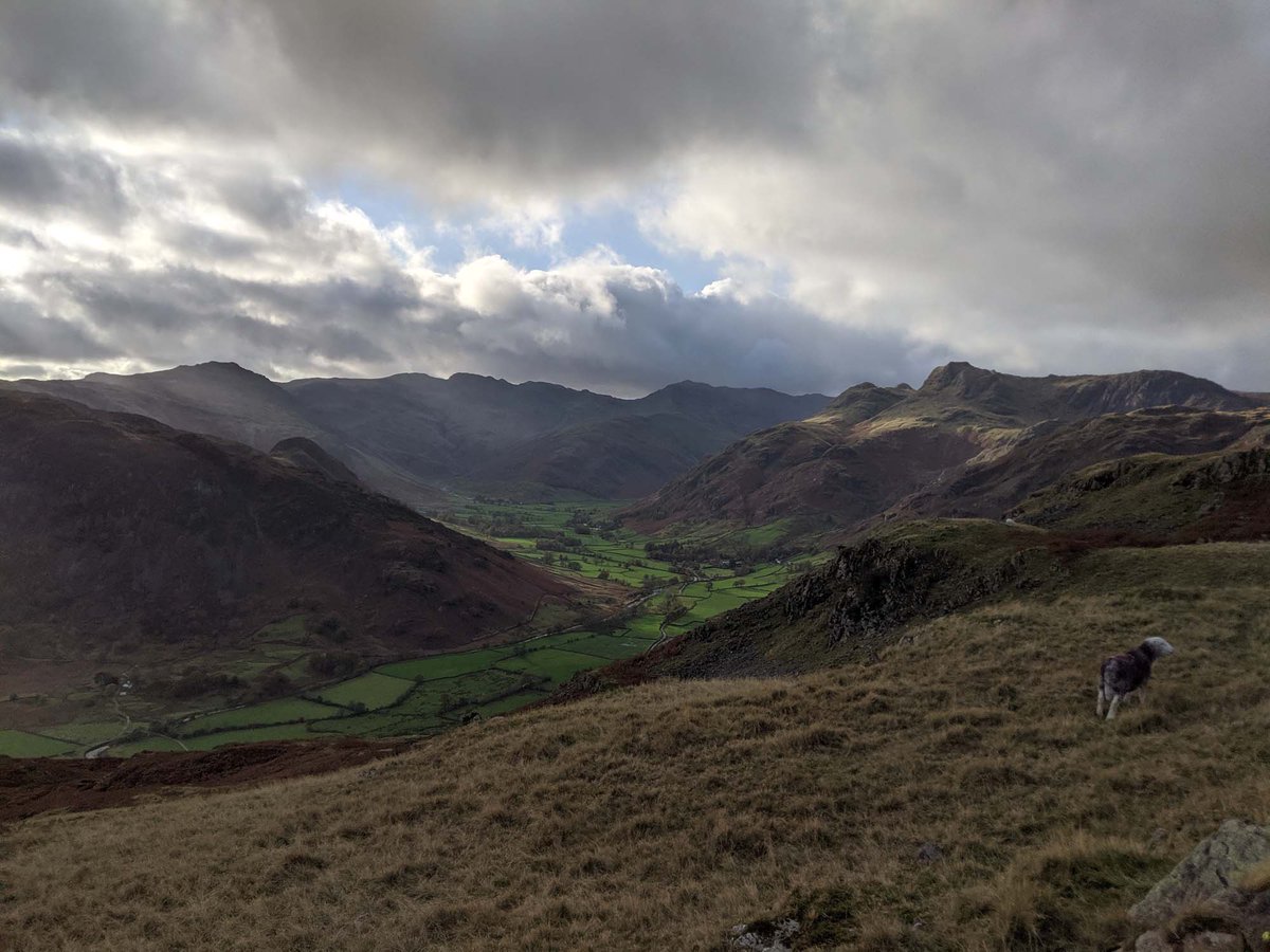 The Langdale Valley
Taken from near Silver How on a recent #HighRaise #GuidedWalk from #Grasmere

More info: thelakedistrictwalker.co.uk/high-raise-fro…

#LakeDistrict #Cumbria #Hiking #Walking #Easdale