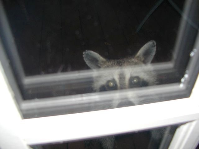 AAAC North Houston tweet media