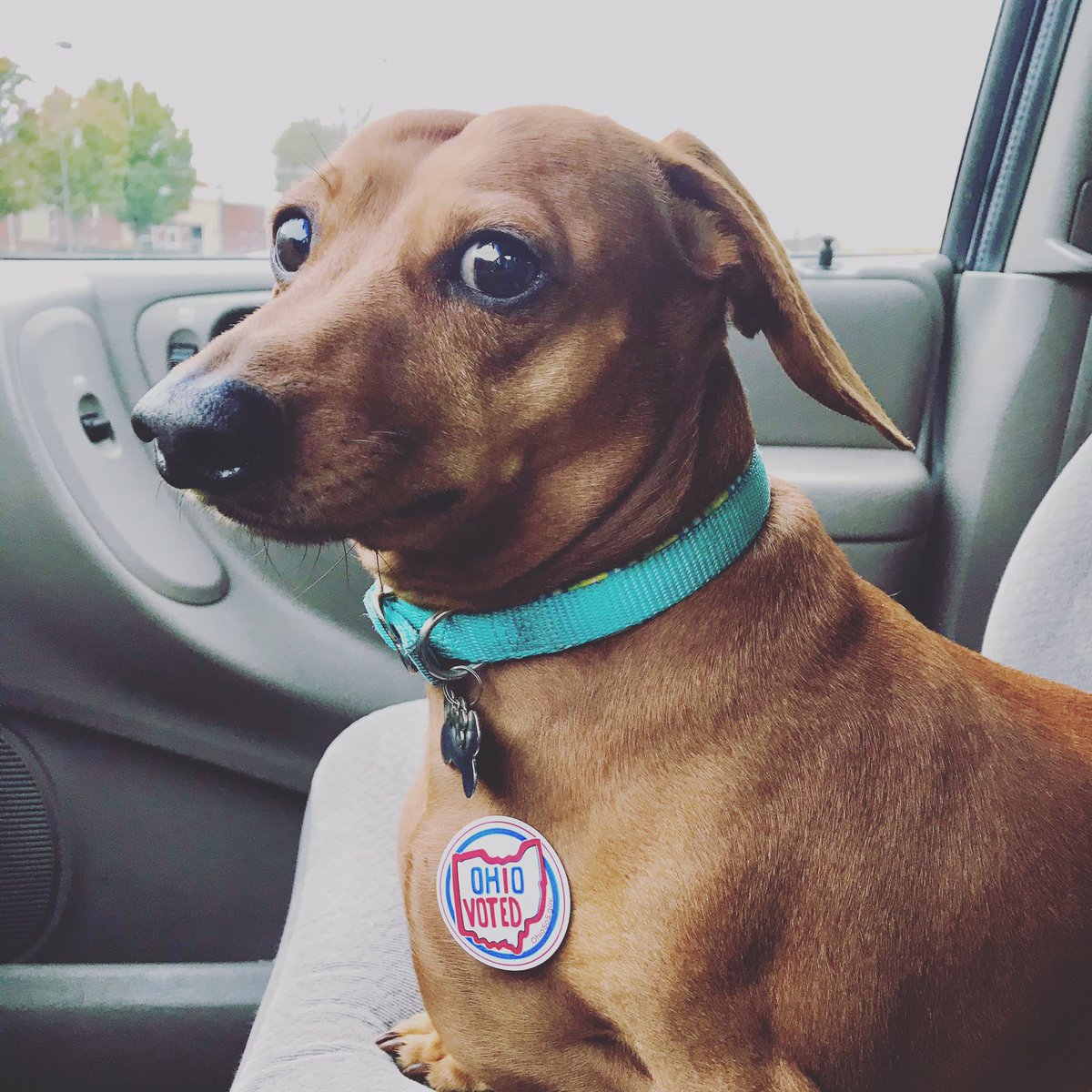 Vote 🇺🇸 
#VoteOnNov5