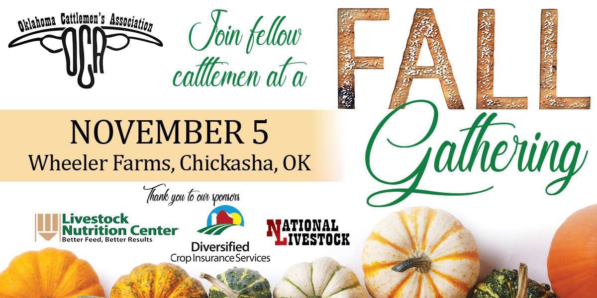 ShepherdCattle's tweet photo. It’s Fall Gathering time! Be sure & join us tonight in Chickasha for a great #Beef dinner, industry updates, & good fellowship with area cattlemen. Bring your friends & neighbors along & learn what OCA does for all @OKCattlemen #Beef #JoinToday #FallGathering https://t.co/Yj5otI6luf