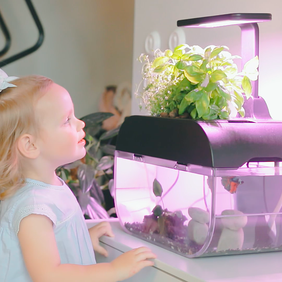 Ecobloom tweet media