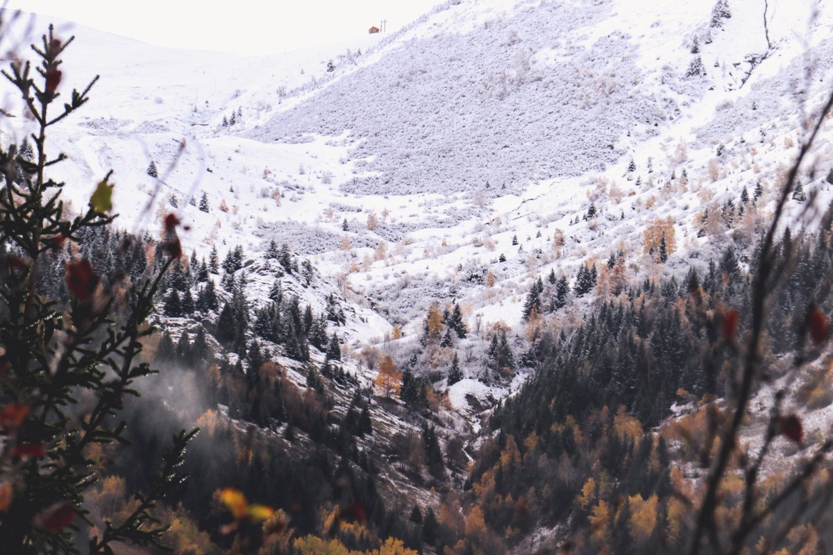 oz_en_oisans's tweet photo. A #ozenoisans les paysages hésitent... entre automne et hiver  🍂❄️ https://t.co/CLXODy20oO