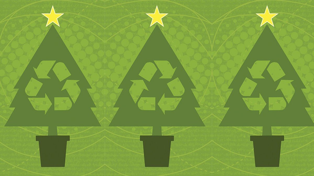 RefillColwyn's tweet photo. Is Britain Ready For A Green Christmas?
👉 https://t.co/kUnYovFF8p https://t.co/FWSGF00G8T