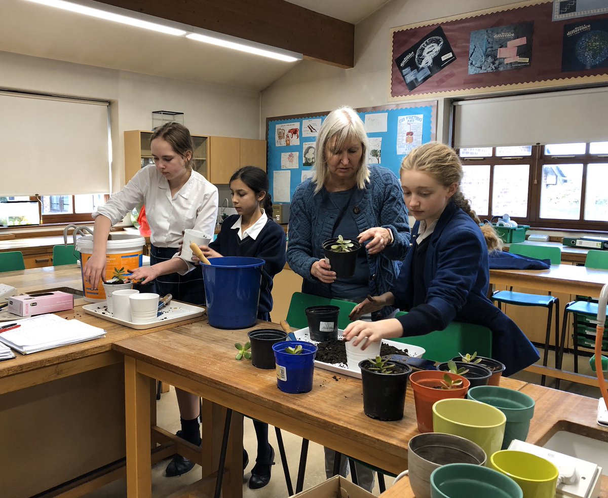 FarlScience's tweet photo. Gardening club are hard at work this lunchtime with preparations for our upcoming Christmas Fair. Look out for them next Saturday from 11-3 to get your hands on some new plants 🌵🌿
@Farlington_Sch @RHSSchools @SchoolsGardens 
#gardening #greenfingers https://t.co/YY2HOvx1IM