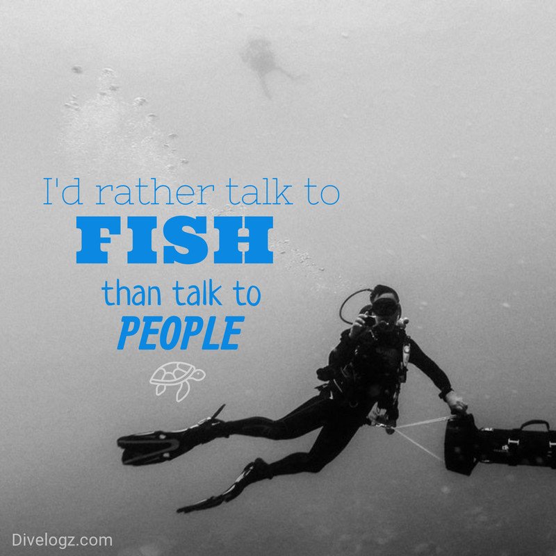 DiveLogz's tweet image. Only true on occasion!