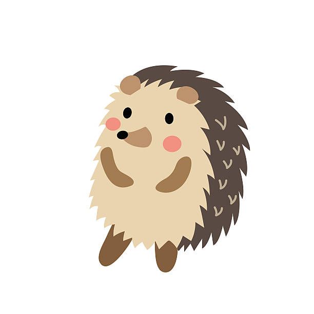 maidstonebc's tweet photo. Remember, remember Hedgehogs on 5th November! π¦
Be sure to check bonfire piles before lighting. A hedgehog may be sheltering there. #gogreengowild #rememberhedgehogs https://t.co/OXKPGUcdp3