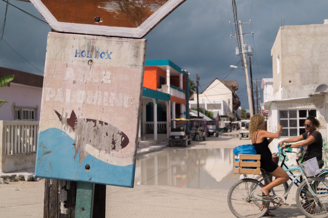 theholboxeno's tweet photo. #holbox #islaholbox #holboxisland #holboxmexico #iloveholbox #helloholbox #islandlife #beachlife #love #travel #travelgram #postcardplaces #mustseeplaces #beach #mexico #paradise #destination #lovefortravel #awesomeearth #travellife #globalnomads #travelmexico #visitmexico https://t.co/aAzu9ZitEO