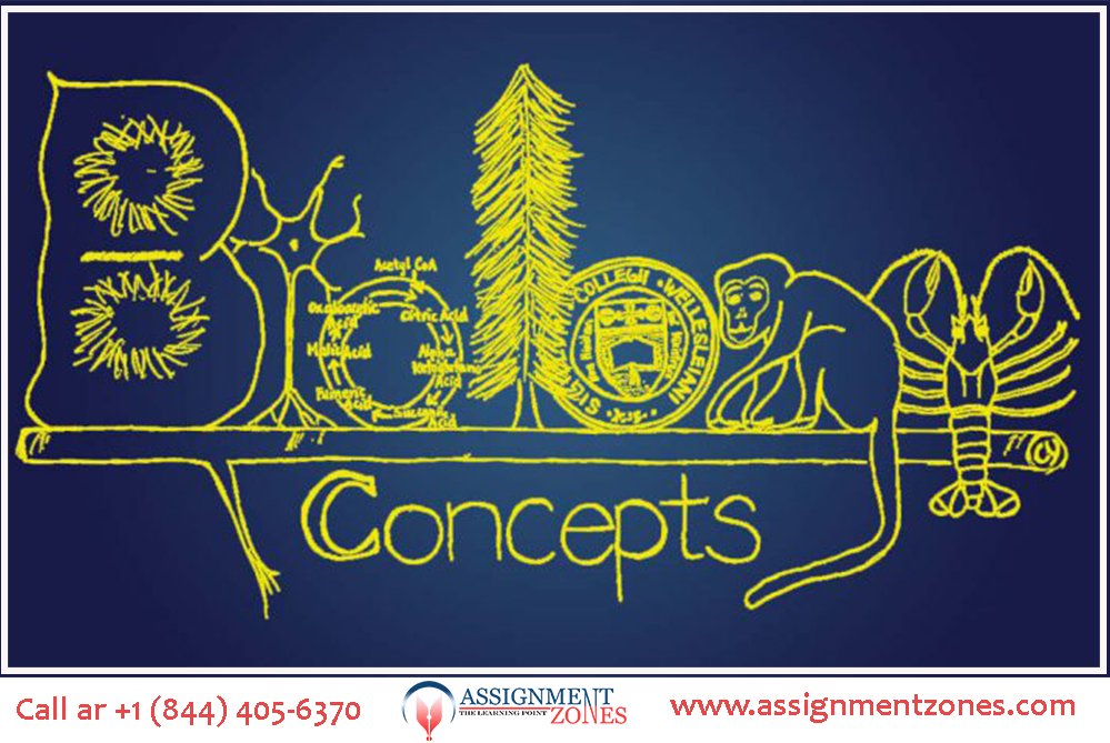 AssignmentZones's tweet image. Assignmentzones brings to you biology assignment help including biology homework help, biology essay help and biology coursework help. assignmentzones.com/biology-assign…
#BiologyAssignmentHomeworkHelp #Assignmentzones #BiologyAssignmentWritingProfessionals #CellularBiologyorCytology