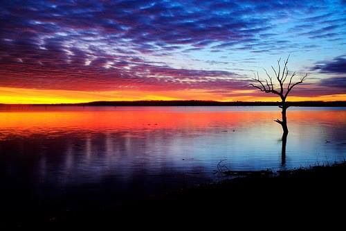 We're elated with the team work between <a href="/AfricanParks/">African Parks</a> &amp; <a href="/Zimparks/">Zimparks</a> towards rehabilitation &amp; sustainability of #MatusadonhaNP, our wildlife &amp; wilderness areas are of great value, they make #Zim a must visit destination! africanparks.org/african-parks-… 
#MyEnvironmentMyPride #VisitZimbabwe