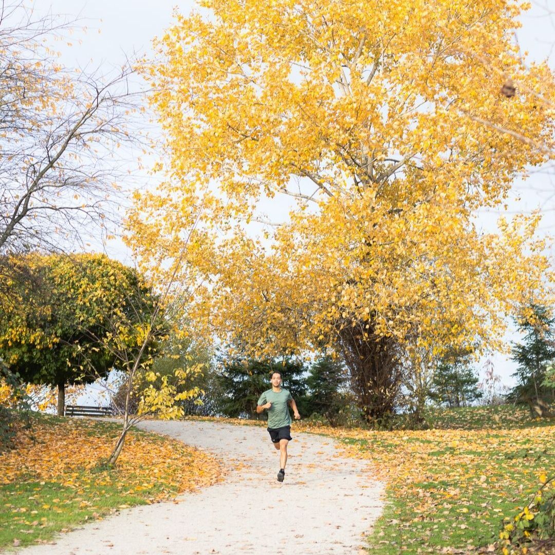 WithHealth_Inc's tweet photo. Jogging is one of the oldest, tried-and-true fitness routines. It not only promotes cardiovascular health and promotes weight loss, it encourages people to get outside, reduces stress and it's FREE!  https://t.co/wB9jJKiQqO https://t.co/OVJG0EdPSH