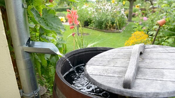 escueladelagua1's tweet photo. #FelizMartes Reutilizar es la palabra clave. Reutilice el #agua de la lluvia para la limpieza de los pisos, para el inodoro, para regar las plantas. #CulturaDelAgua @CulturadelAgua7 @CAS_SANTANDER @CARCDMB @Cajasan https://t.co/8awnZHaKm5