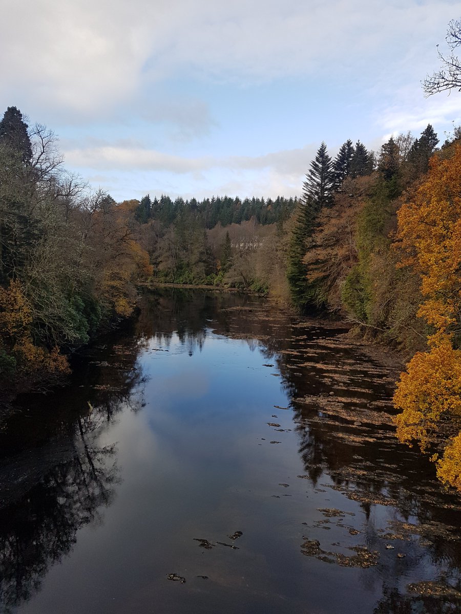 EupdMama's tweet photo. It turns out that when your Pyschiatrist or GP tells you to go out and take a walk to improve your #mentalhealth that they're actually right. Get outside folks and enjoy some #selfcare #Autumn #fall #BPD #Scotland #EUPD https://t.co/L6O6MO2xAY