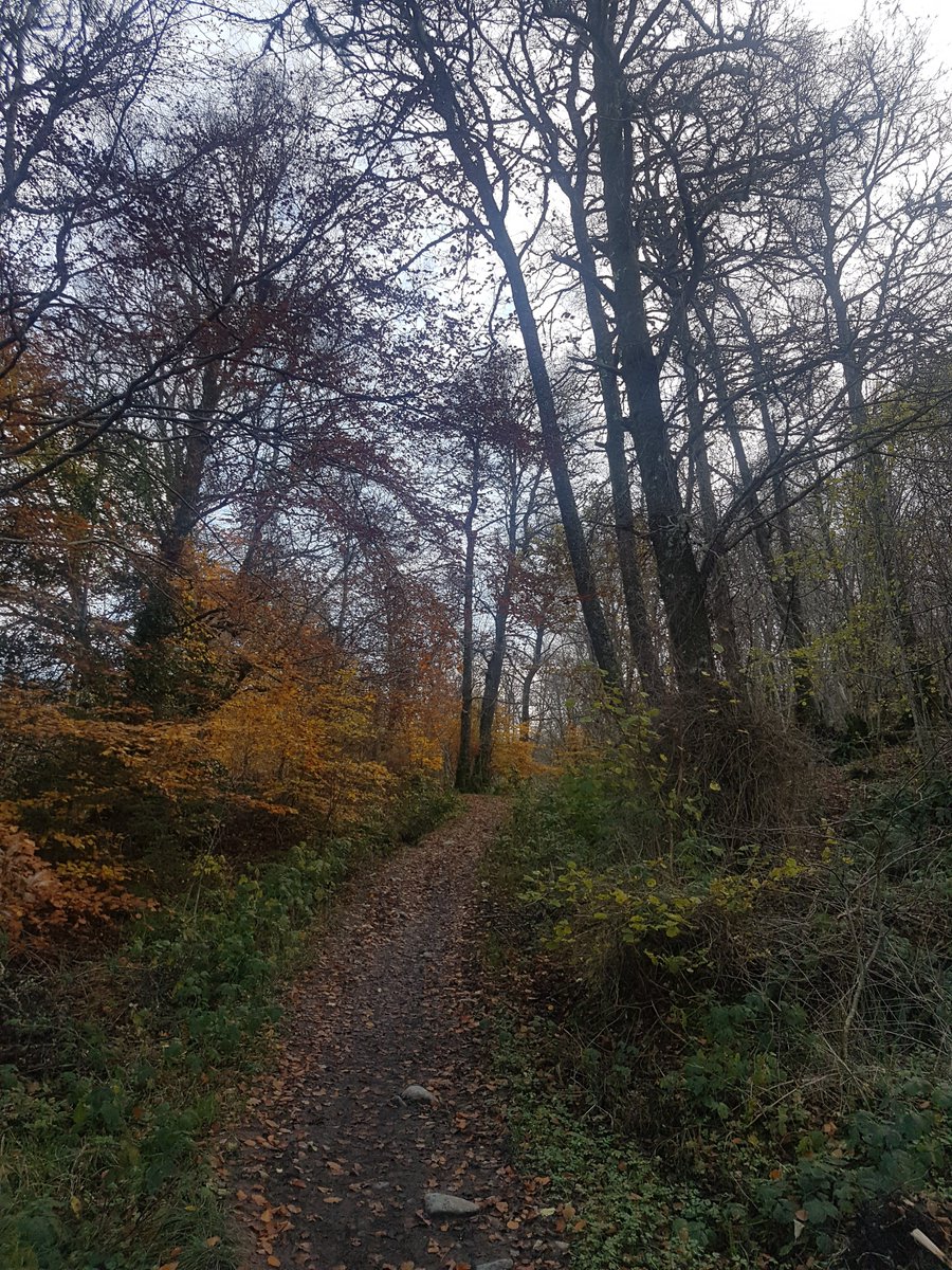 EupdMama's tweet photo. It turns out that when your Pyschiatrist or GP tells you to go out and take a walk to improve your #mentalhealth that they're actually right. Get outside folks and enjoy some #selfcare #Autumn #fall #BPD #Scotland #EUPD https://t.co/L6O6MO2xAY