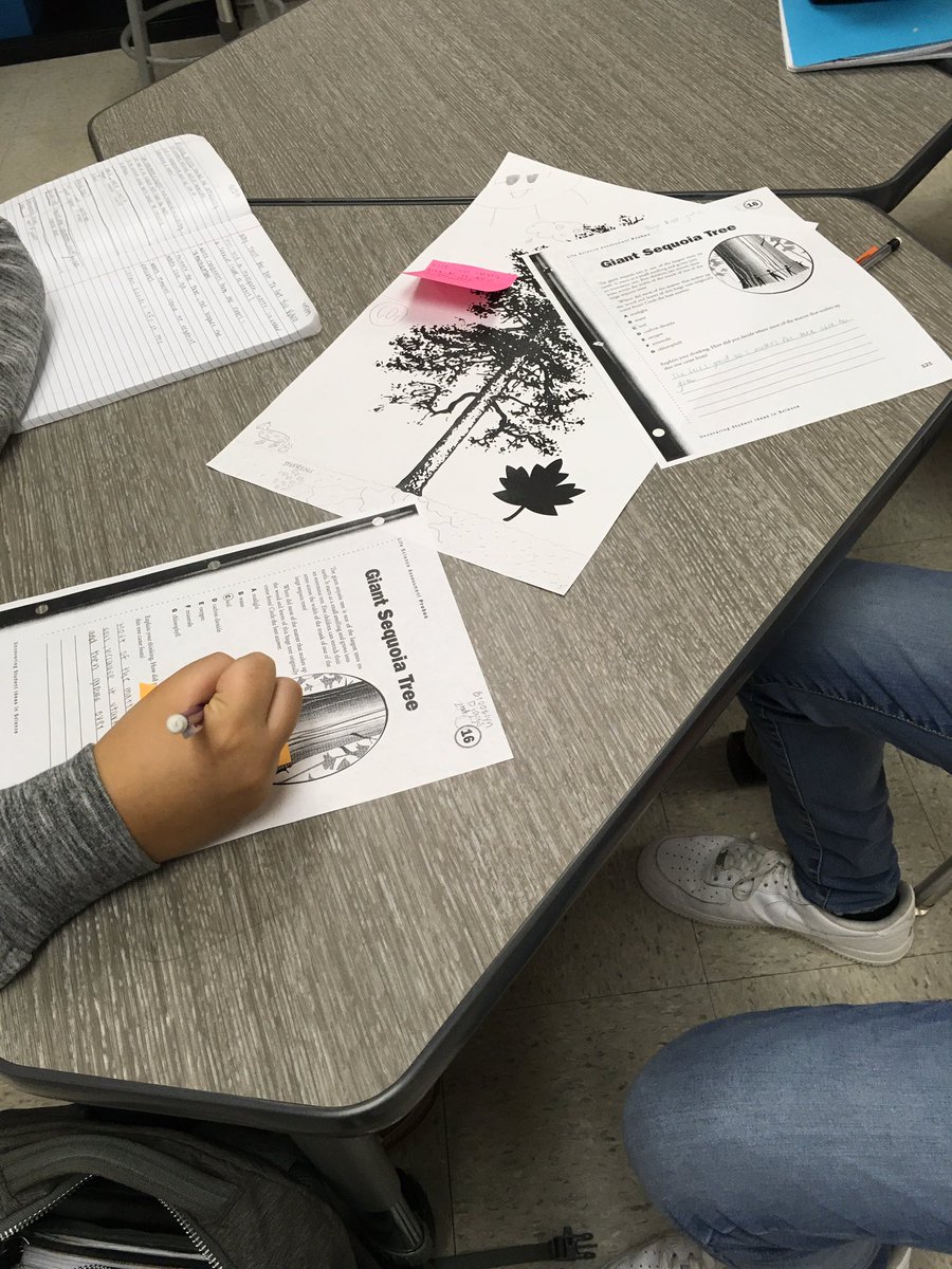 BynoScience's tweet photo. Revising our tree models with our new learning. #gcisdsci #ast https://t.co/i9RoJ5e1Sf