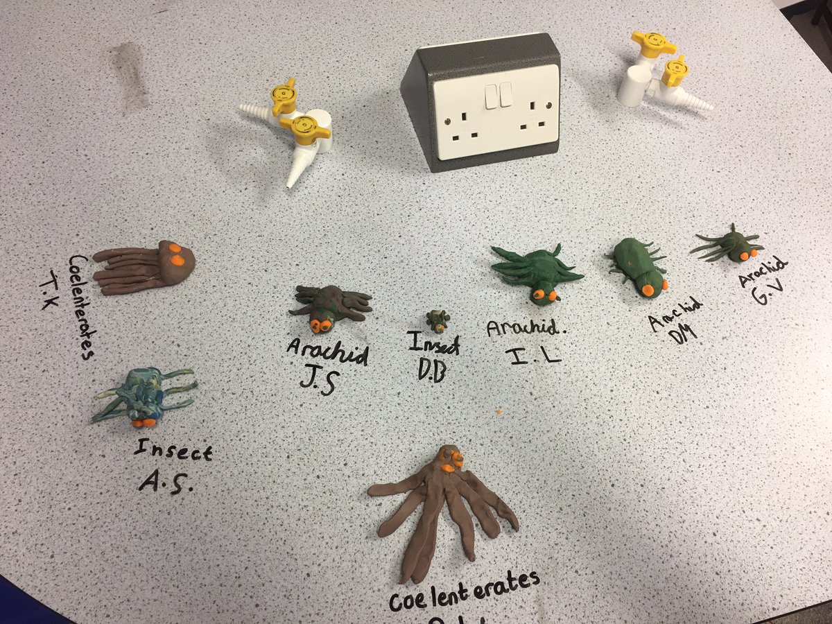 CarrdusHead's tweet photo. Making orange eyed mini beasts in Year 4 Science Club #Carrdus STEM https://t.co/oBCCCzQDyJ