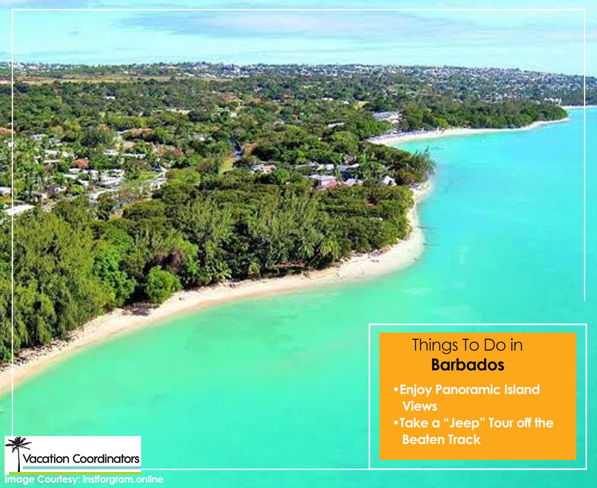 VacationCoor's tweet photo. Barbados is unique. It’s certainly a tropical paradise.
#Barbados #Garrison #MullinsBeach #BarbadosBeaches #Caribbean #Jamaica #Stlucia #Dominica #VirginIslands #Bahamas #VisitBarbados #ElegantHotelsBarbados #CrystalCoveBarbados #SunshineStateOfMind #BarbadosLuxury #LuxuryHoliday https://t.co/ZZZqJqi5sY
