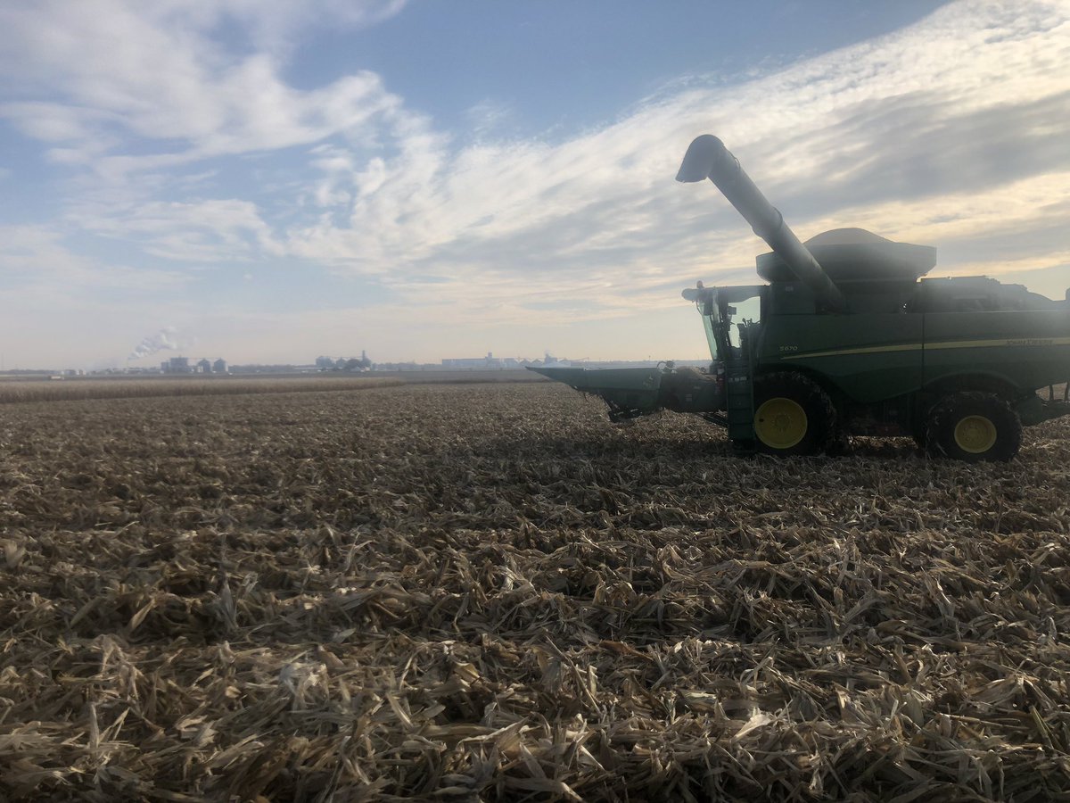 1 Farm cat/day. tweet media