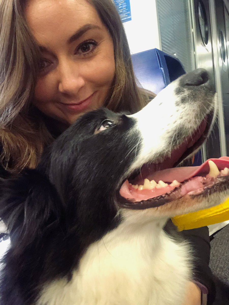 Lauren Smith tweet media